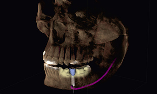 Richa Dental