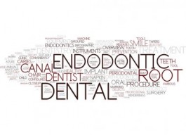 Endodontic Products
